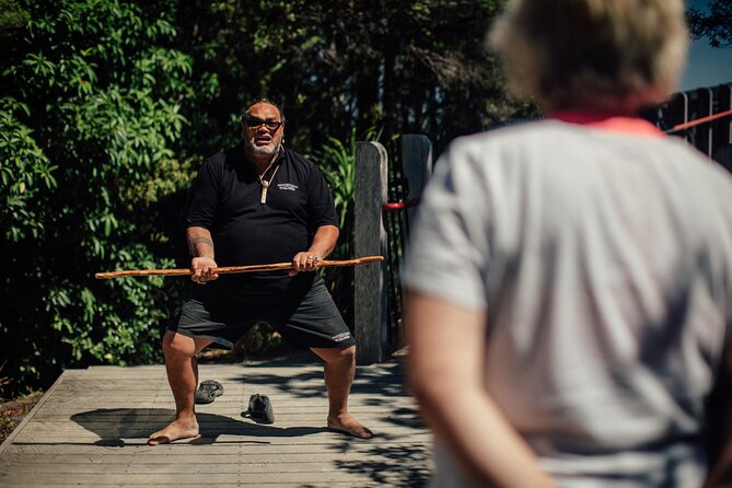 Your Kiwi Cultural Connection with Tu Tika Tours - Why this Whangārei morning feels different