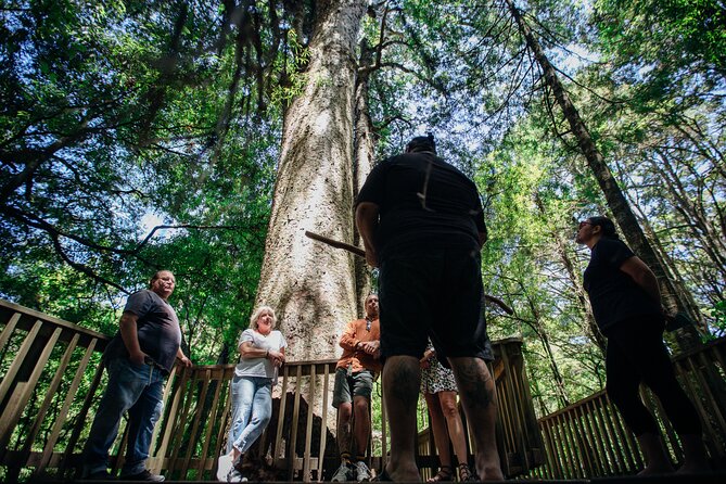 Your Kiwi Cultural Connection with Tu Tika Tours - Sharing food with a Māori family