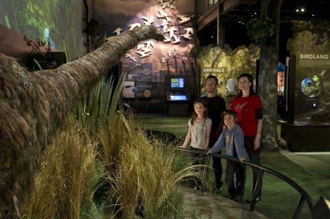 Zealandia Small Group Eco Wildlife Night Tour - Key points to know before you book