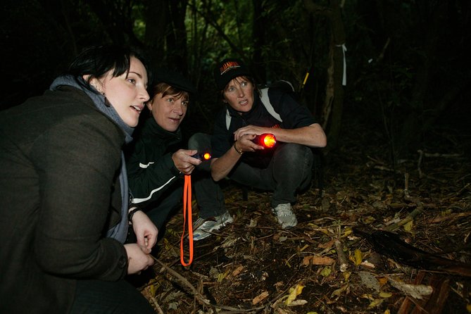 Zealandia Small Group Eco Wildlife Night Tour - Why Zealandia works best after dark