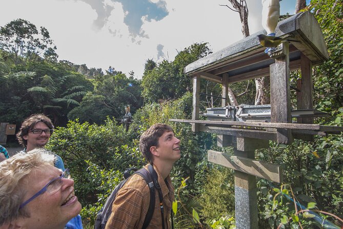 Zealandia Small Group Eco Wildlife Night Tour - What you might see in the dark