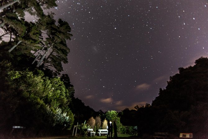 Zealandia Small Group Eco Wildlife Night Tour - The exhibition sets up the story