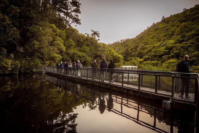 Zealandia - Twilight Guided Eco Wildlife Tour - Why twilight is the right time at Zealandia