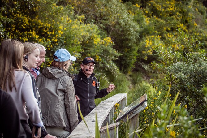 Zealandia - Twilight Guided Eco Wildlife Tour - Clothing, footwear, and physical effort