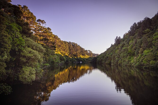 Zealandia - Twilight Guided Eco Wildlife Tour - Walking the regenerating valley before dark